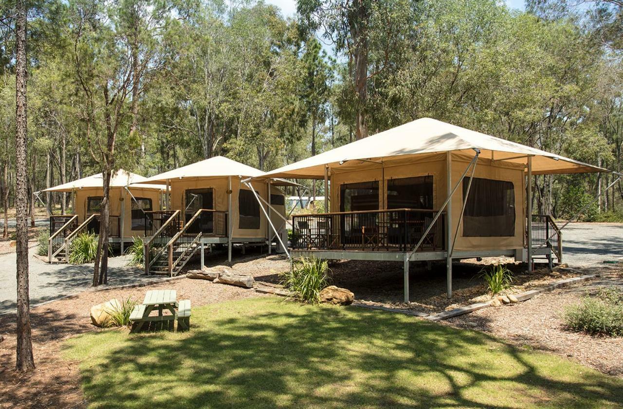 Paradise Country Farmstay Gold Coast Ngoại thất bức ảnh