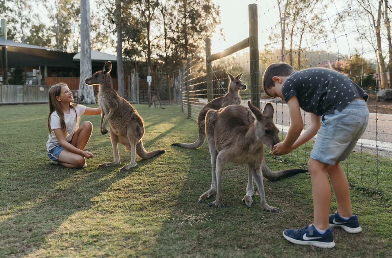 Paradise Country Farmstay Gold Coast Ngoại thất bức ảnh